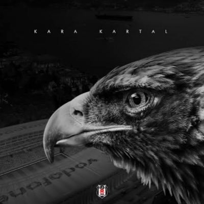 #Beşiktaş Sosyal Medya Trübünü🦅🏟️ @Besiktas