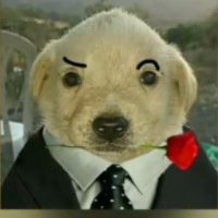 Carlos (@carlos02649548) 's Twitter Profile