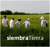 @siembraTierra busca garantías al #accesoatierra de las #comunidadesagricultoras de #Colombia! (Art. 64 Constitución). 
 #tierricultoressomostodos