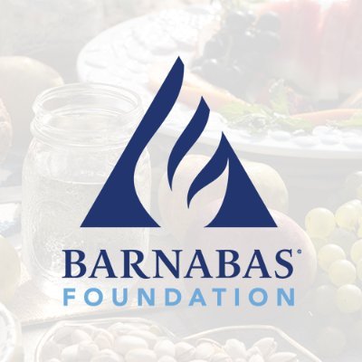 BarnabasFdn Profile Picture
