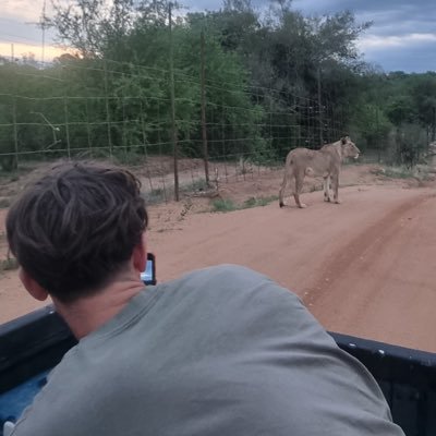 alexsmn04's profile picture. Rennes / Saint-Lô