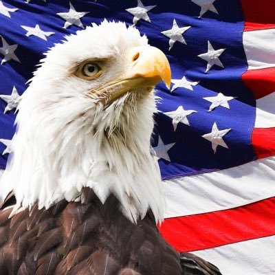 proudpatriots24 Profile Picture