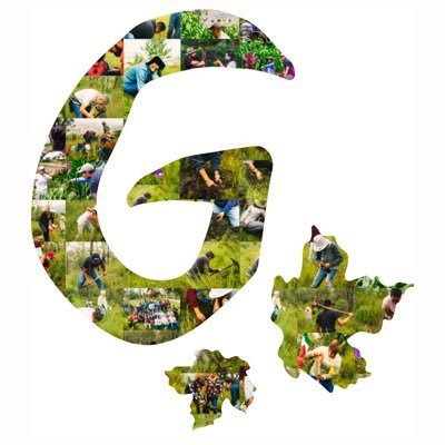 GaiaMex's profile picture. 