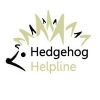 Hedgehog Helpline(@hedgehoghelplin) 's Twitter Profile Photo