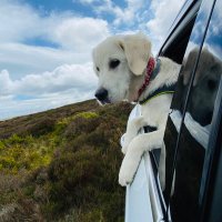 Nicole Blythe (@njblythe18) 's Twitter Profile Photo Nicole Blythe (@njblythe18) 's Twitter Profile Photo