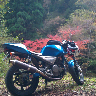 高知県出身のバイク乗りの中の一人。就職した。愛車はGoose350。フォレスターSTI買った
