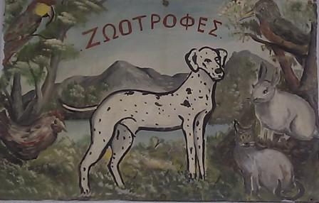 Pet shop Κιβωτός
Σελήνια Σαλαμίνας