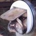 Lord Edmund Slackbladder (@technologiman) Twitter profile photo Lord Edmund Slackbladder (@technologiman) Twitter profile photo