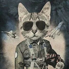 leavingthissh1t's profile picture. Specialist in specializing.