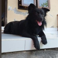 Bobo Zo Bali (@bobozo12) 's Twitter Profile