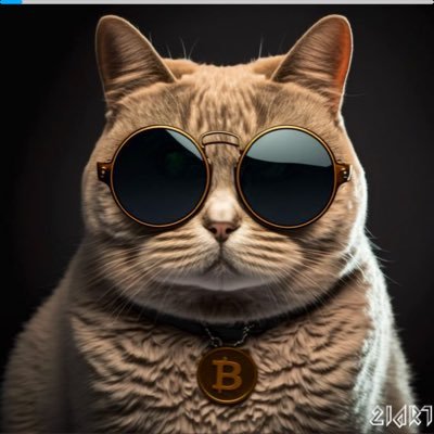 coinmastermind_ Profile Picture