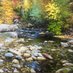 Douglas Aagard (@aagardfineart) Twitter profile photo Douglas Aagard (@aagardfineart) Twitter profile photo