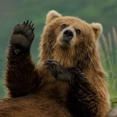 MikeBar93942548's profile picture.