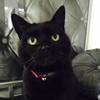 Paula Stanley (@paula_stanley13) 's Twitter Profile