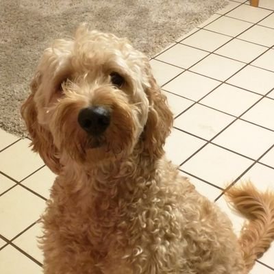 moonriver_9's profile picture. 