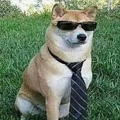 ichy_Minjarez's profile picture. 