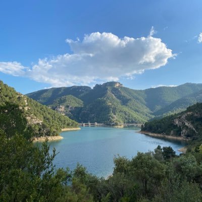 georgedeane7's profile picture. eek mate