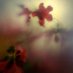Celte | Dmitry Stukovnikov (@celtecelte) Twitter profile photo Celte | Dmitry Stukovnikov (@celtecelte) Twitter profile photo