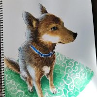 yoko切り絵@犬の名は政宗 (@nise_kenyu) 's Twitter Profile Photo