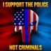 ISupportThePoliceNotCriminals ™ (@ISTPNC) Twitter profile photo