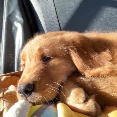 GreenFam9's profile picture. 