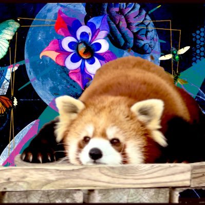 __M_P_DOG__'s profile picture. 低浮上　双子のパパ