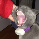 Christopher Krebs - @themonsterkrebs - Twitter