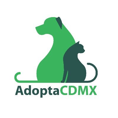 Cuenta exclusiva para difusión de 🐶🐱 para adopción responsable, bajo resguardo de instituciones públicas y protectoras independientes. Un proyecto de @PAOTmx