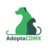 AdoptaCDMX (@AdoptaCDMX) Twitter profile photo