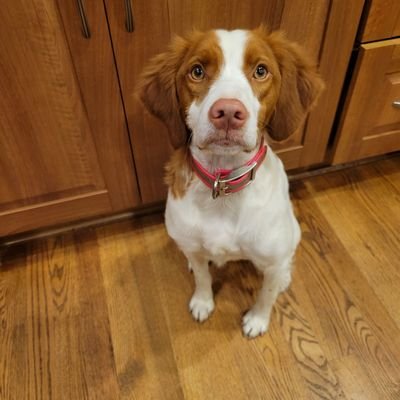 RPattenWatson's profile picture. 
