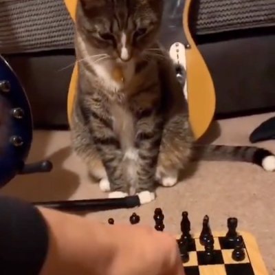 kaka06222932's profile picture. 世界多大？我想去看看，看美丽的风景，见有趣人的，追自已的梦想。