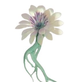 GeorginNFT's profile picture. 