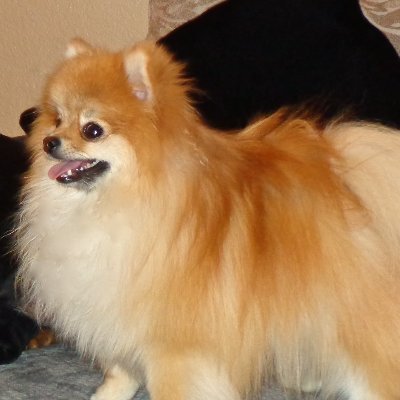 tracicampbell04's profile picture. 