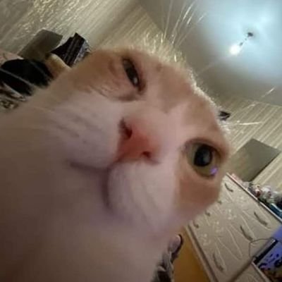 pablHo777's profile picture. 