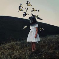 Me (@f_l_f_p) 's Twitter Profile