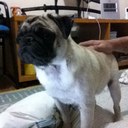 Raphael Campos - @r_campos22 - Twitter