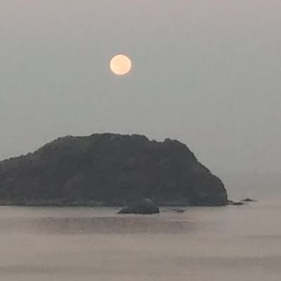 c88xyBC9YZSuIcB's profile picture. いつも心に太陽を。伊藤咲子のひまわり娘の歌が好き。ヨットが好き。
長崎が好き。長崎の海が好き。東京生まれ東京育ち流れ流れて長崎に
憂国の日本人