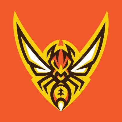 StingyFly Profile Picture