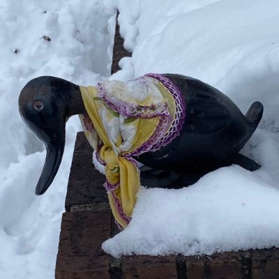 adelaide_bear's profile picture. 