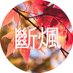 🍁 단풍 속 광장 🍁 (@in_fall_leaves) Twitter profile photo