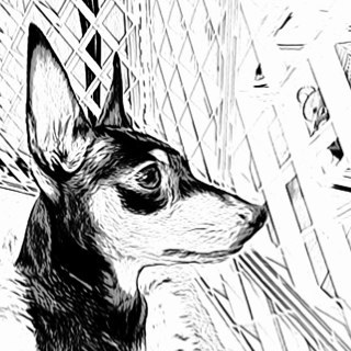 waho8613's profile picture. 