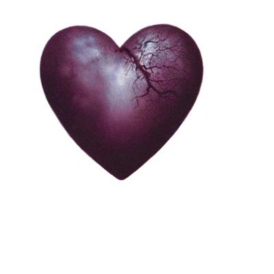 @iebIFgO1WCu2tJ5