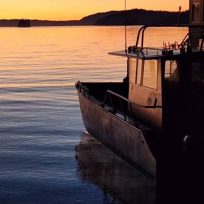 HumpOysters's profile picture. Hump Island Oyster Farm is located in Ketchikan, Alaska, USA. We farm and harvest fresh Pacific Oysters year-round and ship anywhere in the United States.