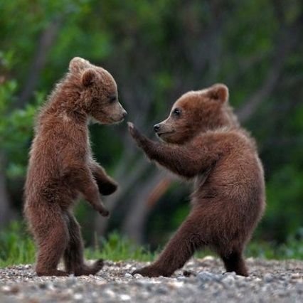 griiizzlee1127's profile picture. Don't think. Feel.