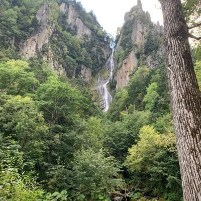 yqPZcbhgigkcEfO's profile picture. 