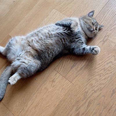 qqw03734824's profile picture. 