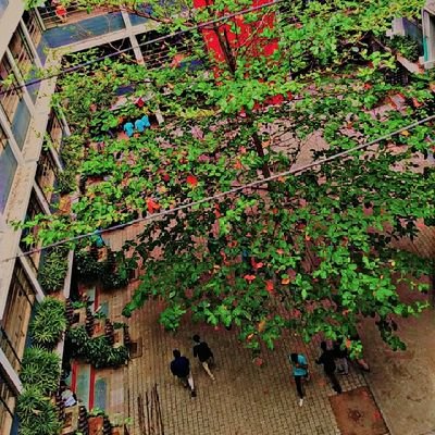 likithdirector's profile picture. 