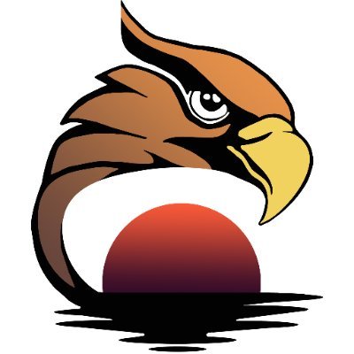 HawksonHorizon's profile picture. The horizon is where the known and unknown meet. We are the Hawks on the Horizon exploring this unknown while pushing the boundaries of game development.