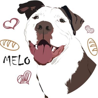 melothepit Profile Picture