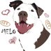 M E L O (@melothepit) Twitter profile photo